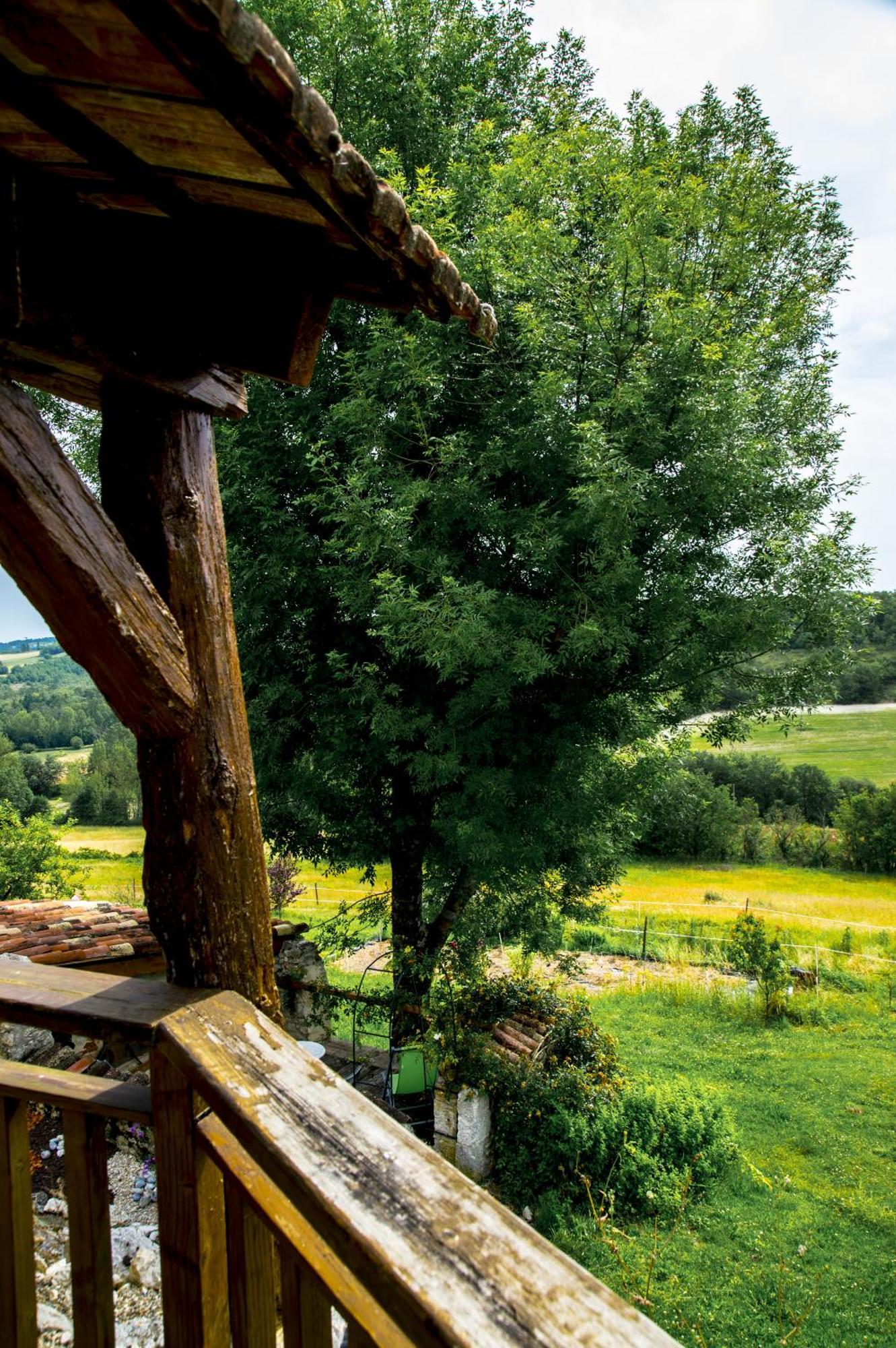 Le Mas Des Papillons Fargues  Ngoại thất bức ảnh