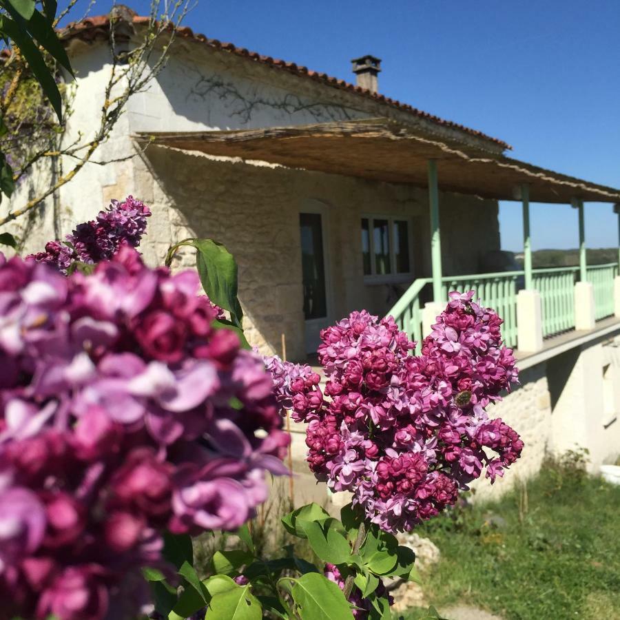 Le Mas Des Papillons Fargues  Ngoại thất bức ảnh