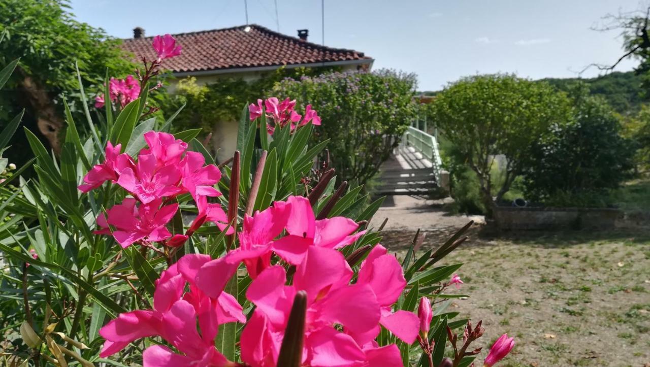 Le Mas Des Papillons Fargues  Ngoại thất bức ảnh
